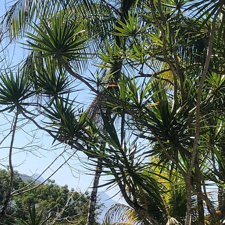 Casa Amarela Prumirim Ubatuba Exteriér fotografie
