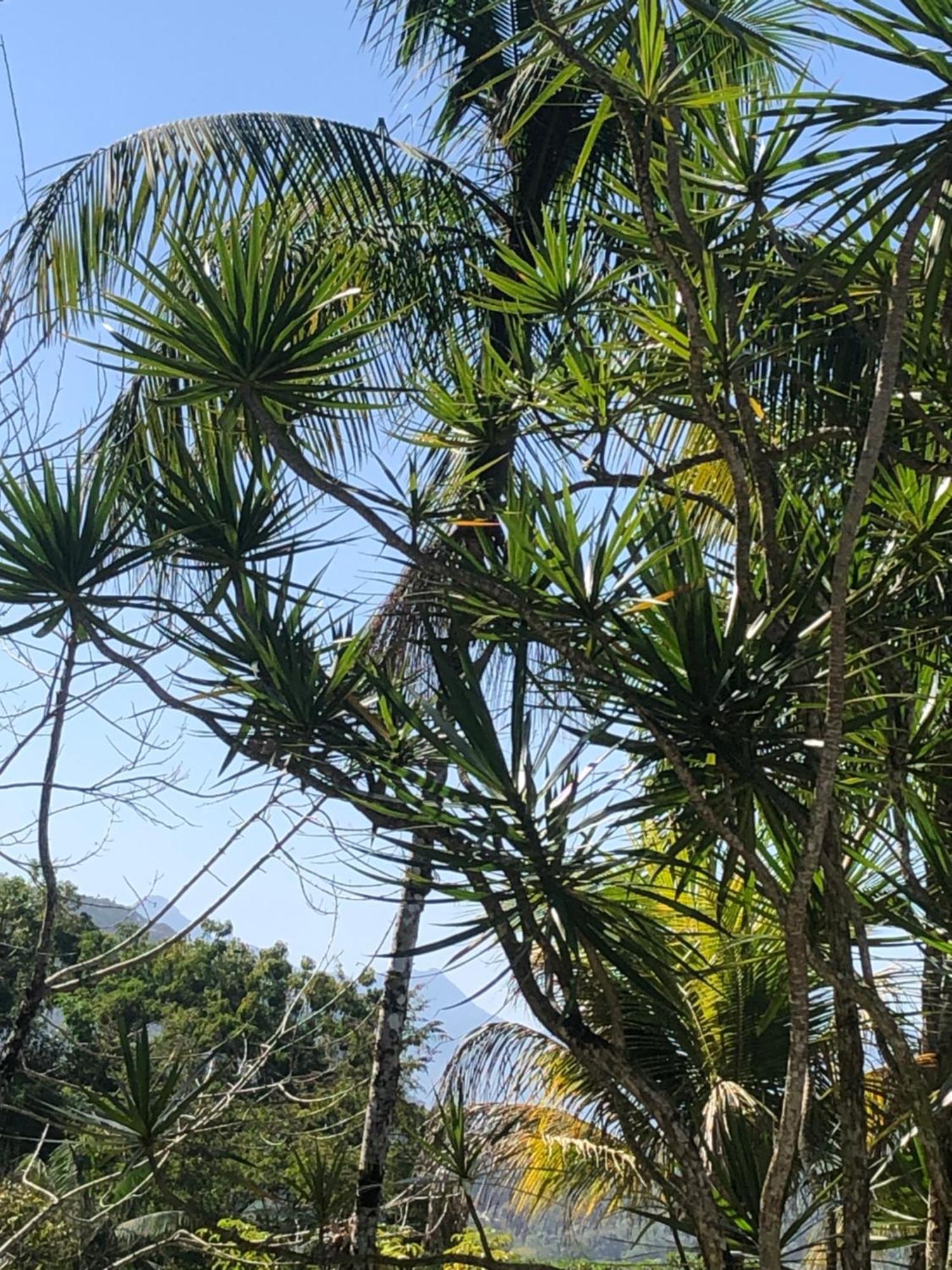 Casa Amarela Prumirim Ubatuba Exteriér fotografie